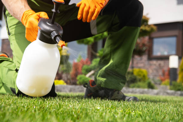 Best Rat Extermination Near Me  in Linden, AZ
