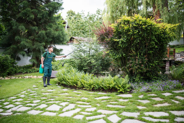 Best Mosquito Control Services  in Linden, AZ