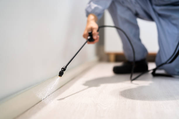 Best Pest Prevention Services  in Linden, AZ