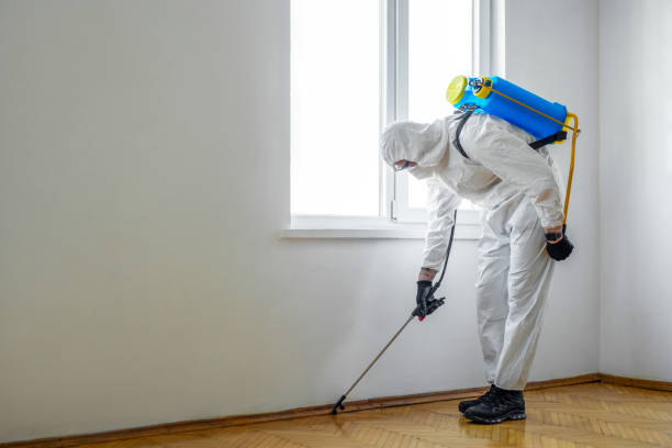 Best Residential Pest Control  in Linden, AZ