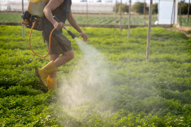 Best Residential Pest Control  in Linden, AZ