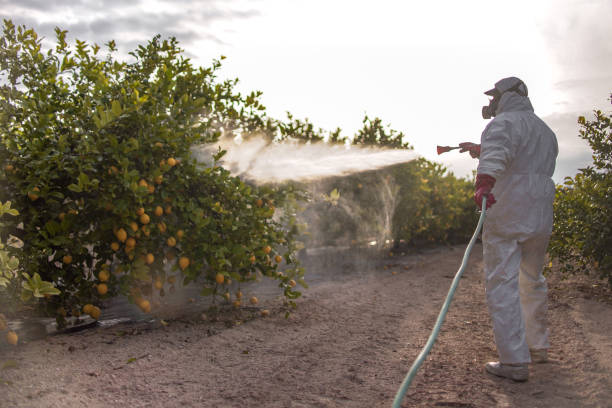 Best Pest Prevention Services  in Linden, AZ