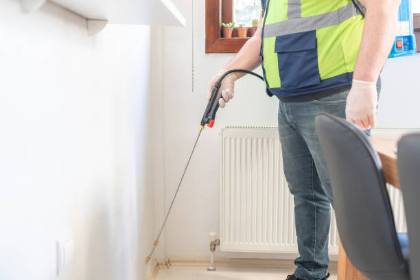 Best Wasp Removal Services  in Linden, AZ