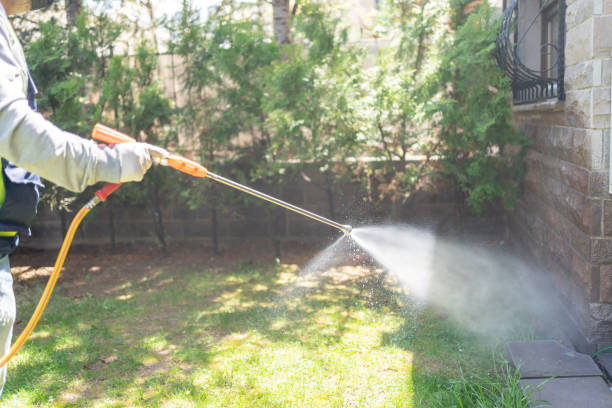 Best Mosquito Control Services  in Linden, AZ