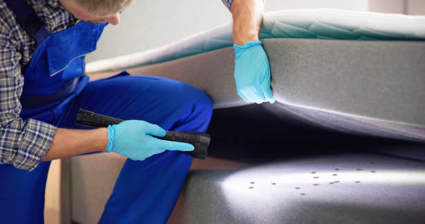  Linden, AZ Pest Control Pros